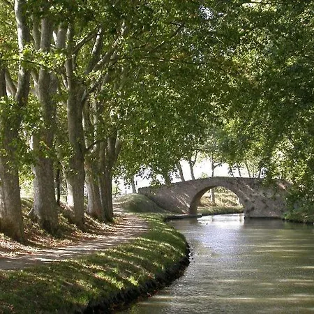 Nyaraló 